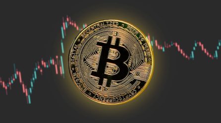 Bitcoin is on an Uptrend after panic sales – will BTC pump now?