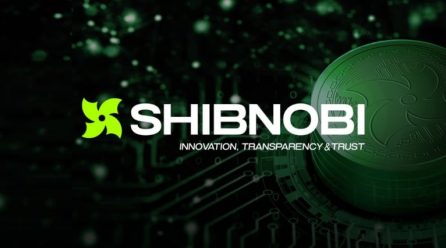Shibnobi Builds On Its Gains, Announces Whitelist SweepWidget Contest For $Shinja Holders