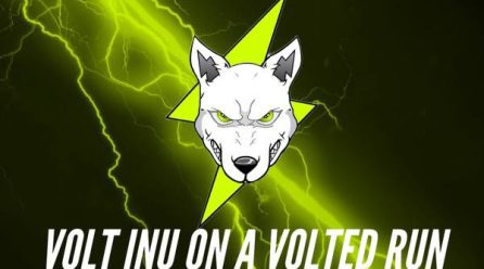 Voltichange Ready to Enhance the Volt Inu Universe